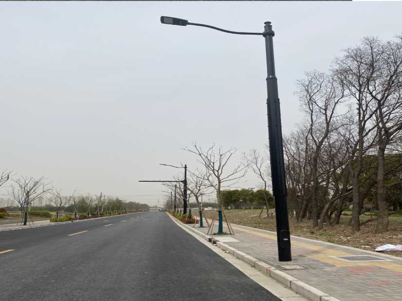 沂南县上海综合杆 太阳能路灯工程